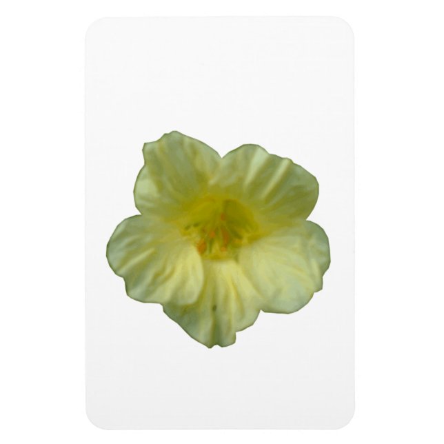 Imán Premium de Nasturtium (Vertical)