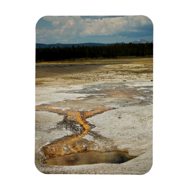 Imán premium de terrenos pintados (Vertical)