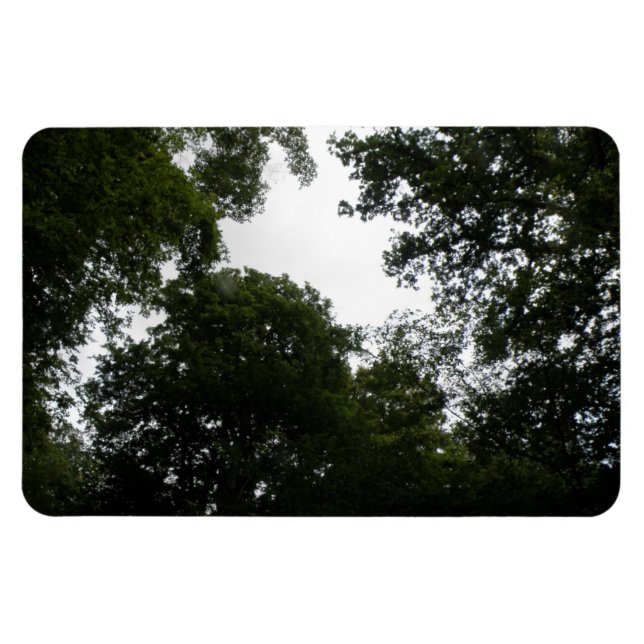 Imán premium del bosque de resplandor (Horizontal)