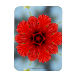 Imán Premium Flor Roja