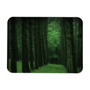 Imán Premium forestal encantado