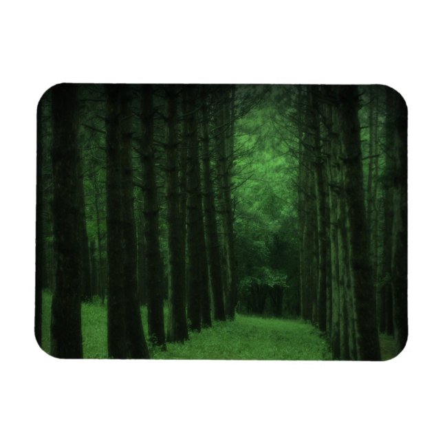 Imán premium forestal encantado (Horizontal)