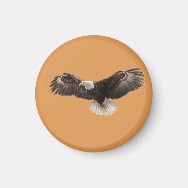 Imán prendedor de águila calva, comúnmente vendido como (Frente)