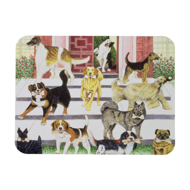 Imán Presentaciones de fiesta (Horizontal)