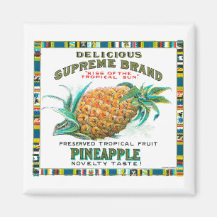Imán Preservaciones supremas de piña