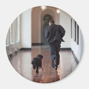 Imán Presidente Barack Obama y Bo