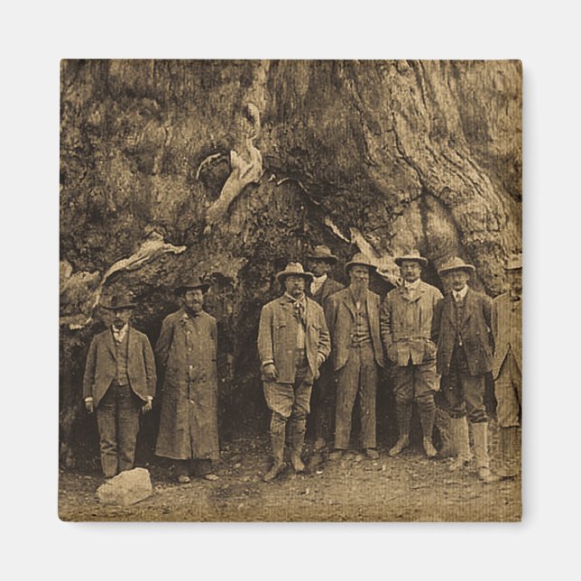 Imán Presidente Roosevelt y John Muir 1903 (Sepia) (Frente)
