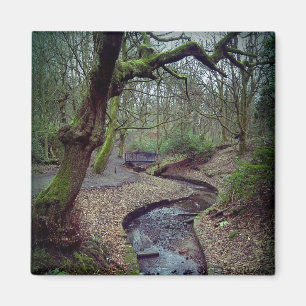 Imán Prestwich Clough Magnet
