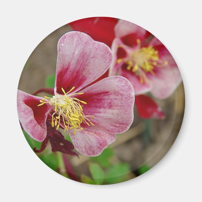 Imán Pretty Flower (Frente)