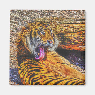 Imán Previendo el arte de vida salvaje del tigre grande