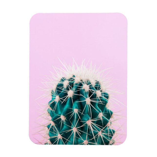 Imán Prickley Cactus en rosa (Vertical)