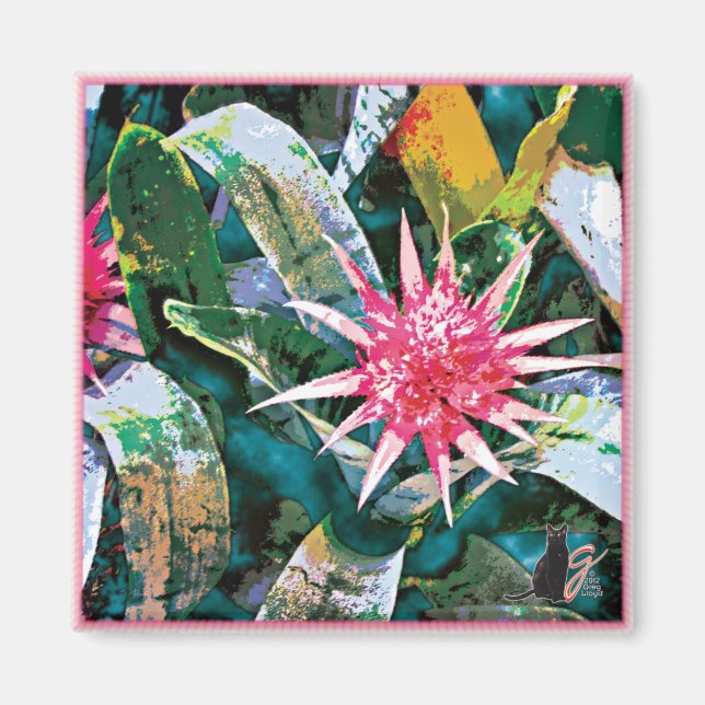 Imán Pricky Bromie Magnet (Frente)