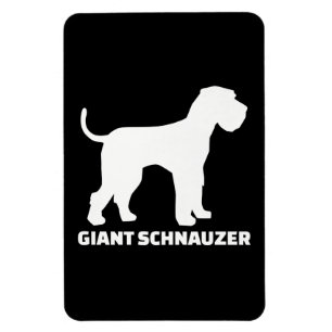 Imán prima schnauzer gigante