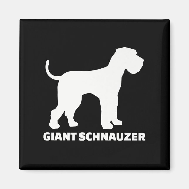 Imán prima schnauzer gigante (Frente)