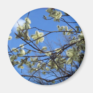 Imán Primavera