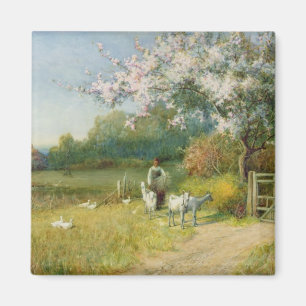 Imán Primavera