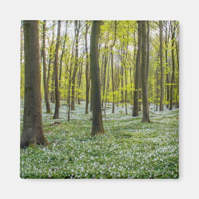 Imán Primavera a la vida (Frente)