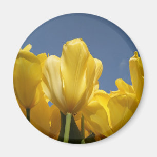 Imán primavera amarilla