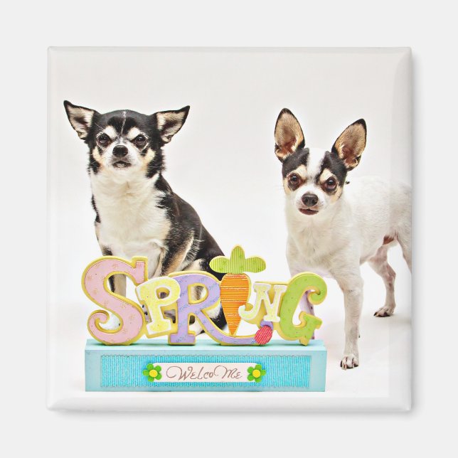 Imán Primavera de Chihuahua (Frente)