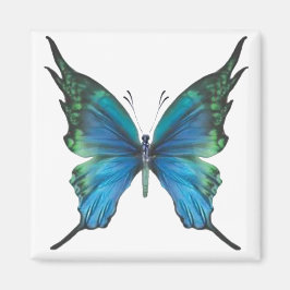 Imán Primavera de Myst