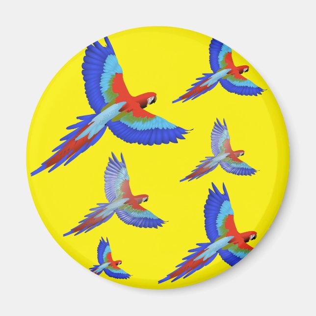 Imán Primavera de playa de Mikitiez Parrot hawaii summe (Frente)