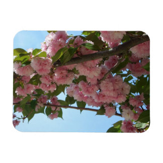 Imán Primavera del Árbol de cerezo IV con doble floreci