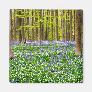 Imán Primavera en el Bosque Azul