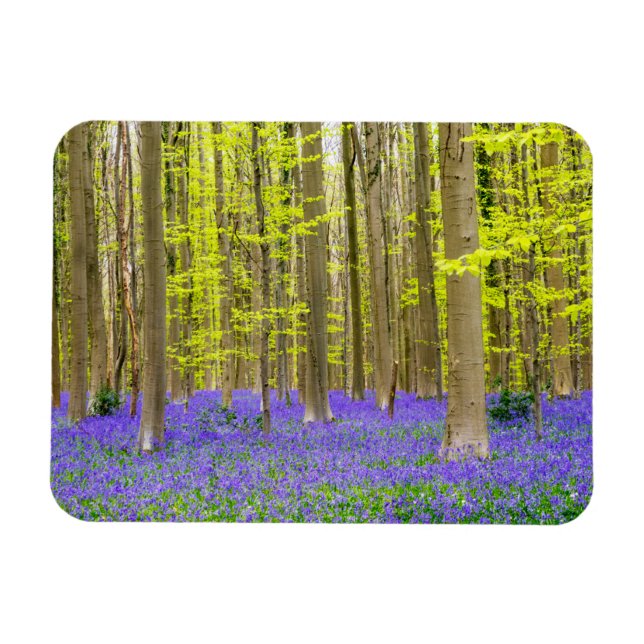 Imán Primavera en el bosque azul (Horizontal)
