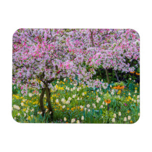Imán Primavera en el jardín de Claude Monet