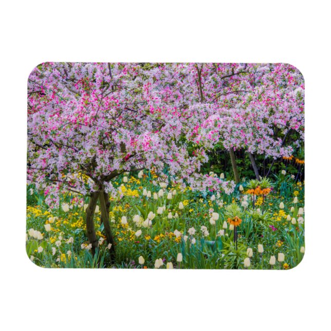 Imán Primavera en el jardín de Claude Monet (Horizontal)
