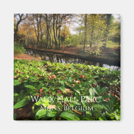 Imán Primavera en el parque Waux Hall en Mons, Bélgica