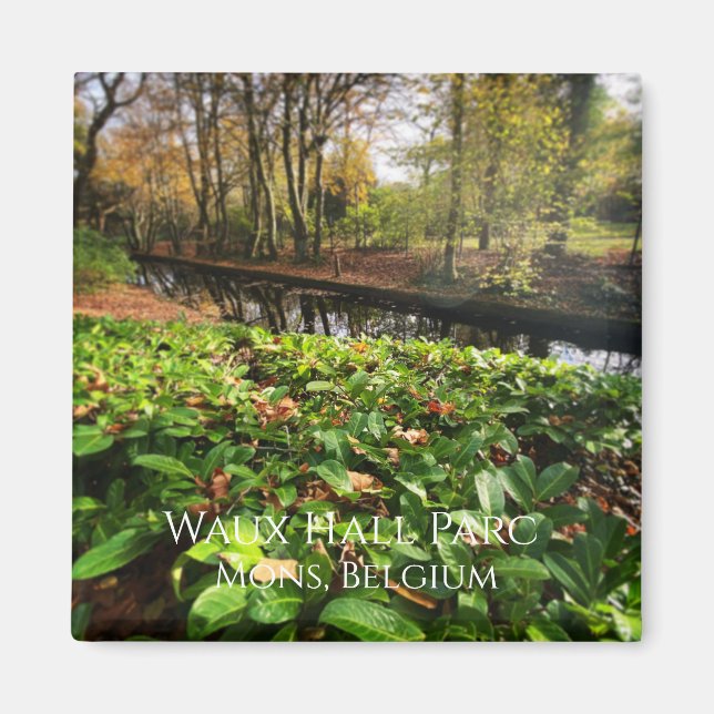Imán Primavera en el parque Waux Hall en Mons, Bélgica (Frente)