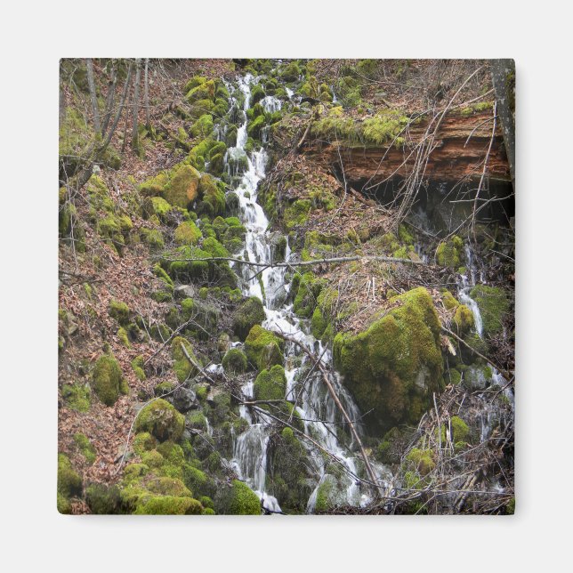 Imán Primavera fresca...... (Frente)