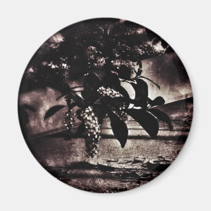 Imán Primavera oscura