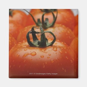Imán Primer de los tomates 2