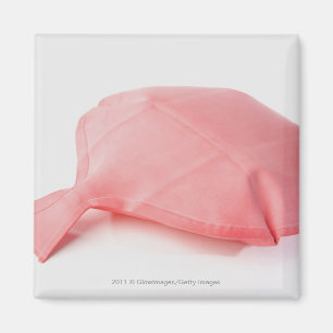 Imán Primer de un amortiguador del whoopee