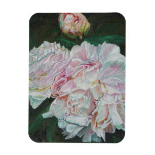 Imán Primeras floraciones 2012