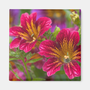 Imán Primeros planos de lengua pintada de sus flores -