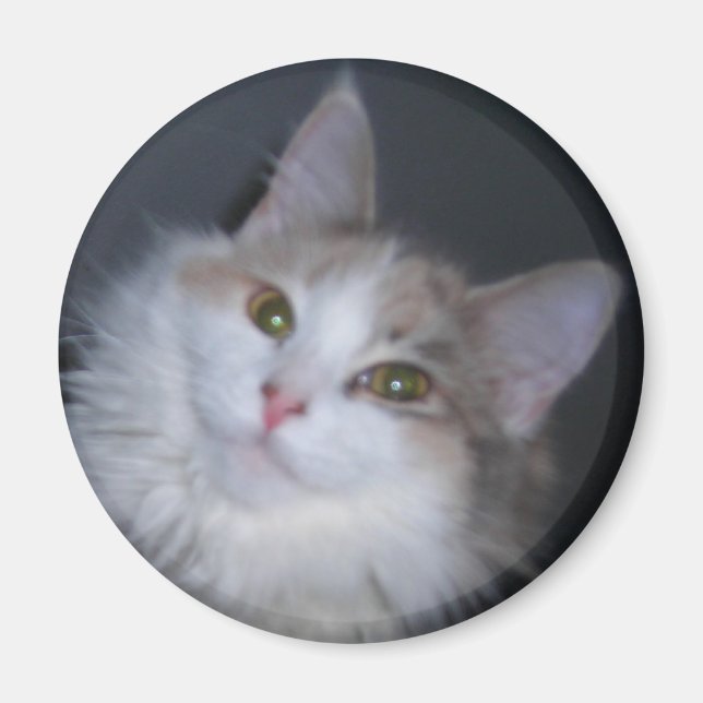 Imán Princesa de Calico (Frente)