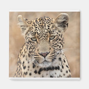 Imán Princesa de Tlalamaba de Djume