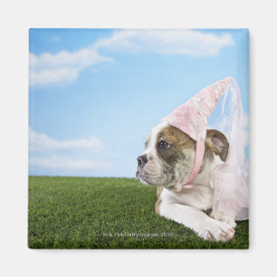 Imán Princesa del perrito del bulldog