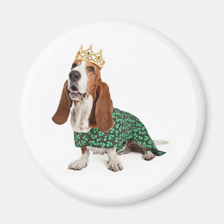Imán Princess Basset de Irlanda
