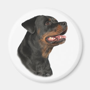 Imán principal de Rottweiler