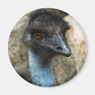 Imán principal del Emu