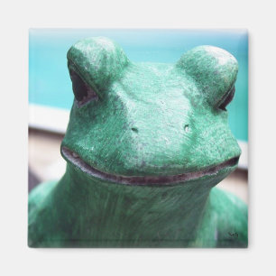 Imán Príncipe Encantador