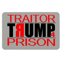 Prisión de TraitorTrump 4