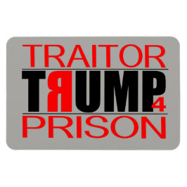 Imán Prisión de TraitorTrump 4
