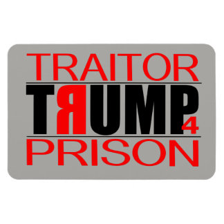 Imán Prisión de TraitorTrump 4