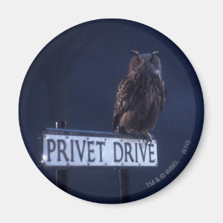 Imán Privet Drive