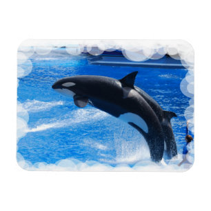 Imán Producto del personalizar